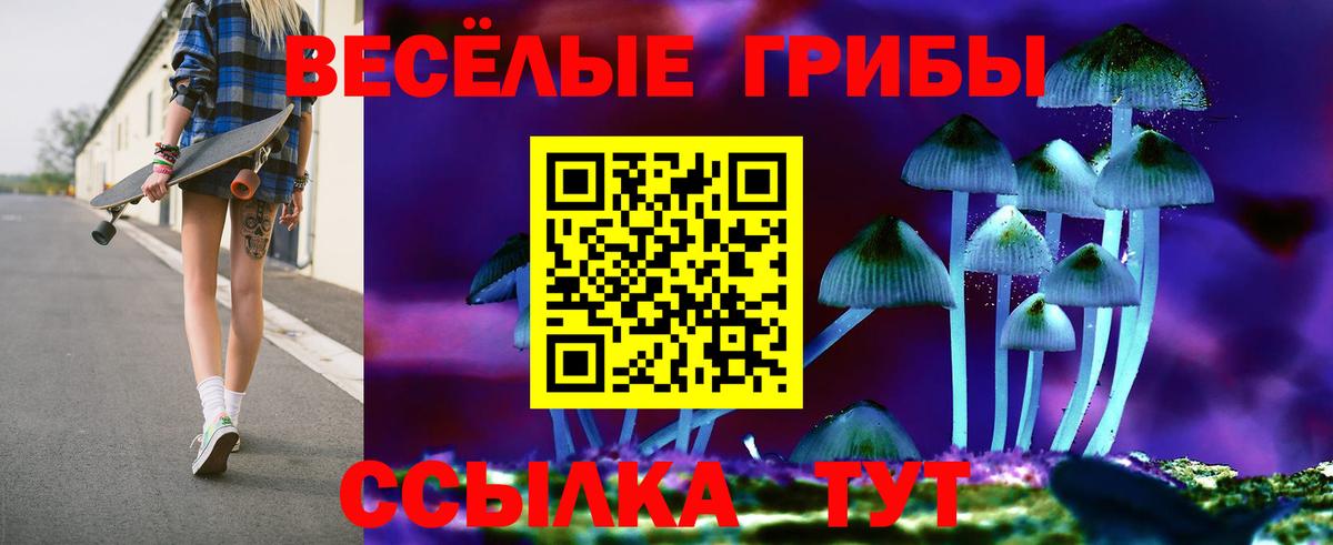 Каспийск  Галлюциногенные грибы мухоморы  Вход с VPN 